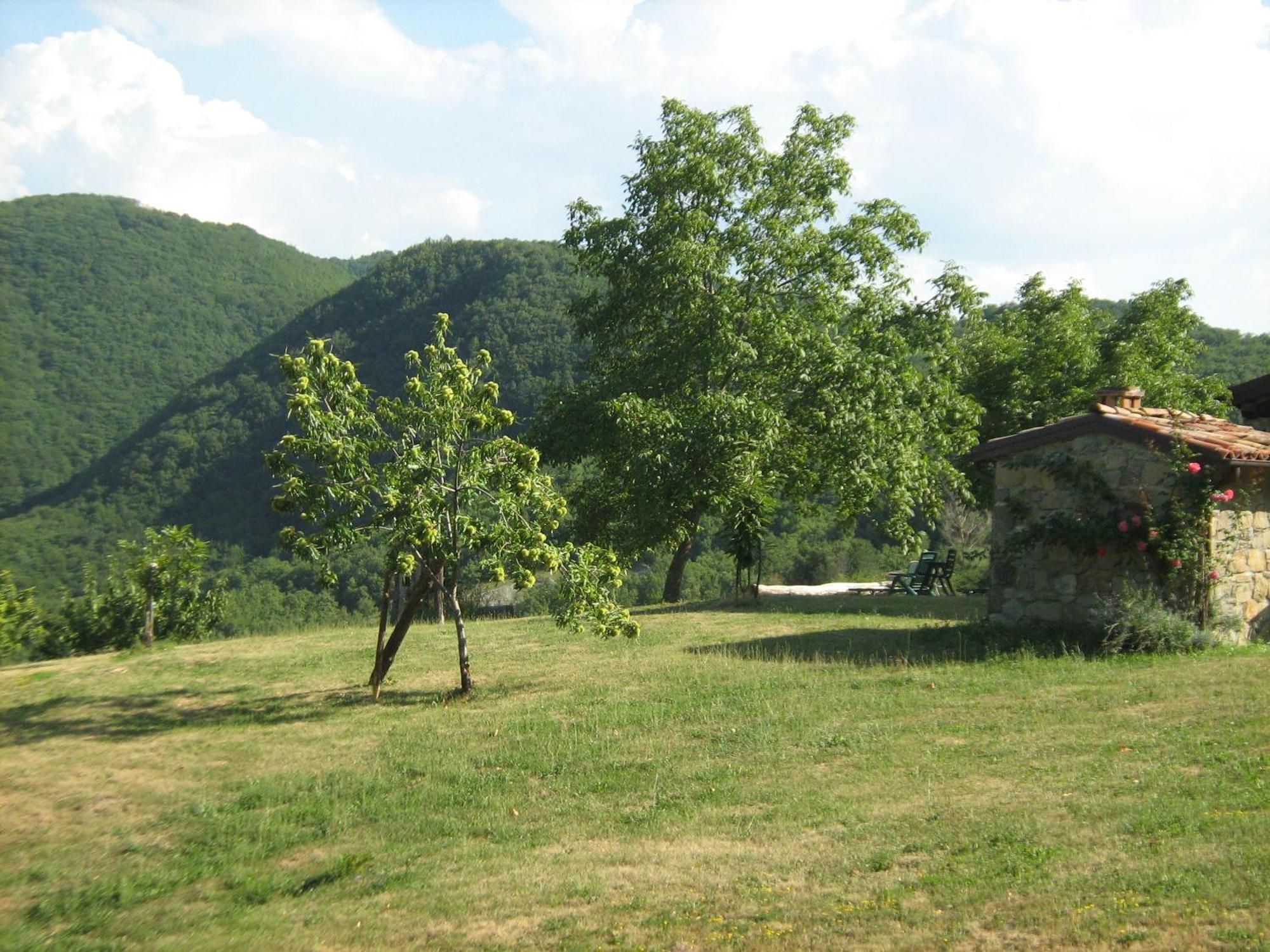 La Piana Dei Castagni Villa Castel dʼAiano Exterior foto